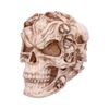 Nemesis Now James Ryman 18cm, Ivory Skulls