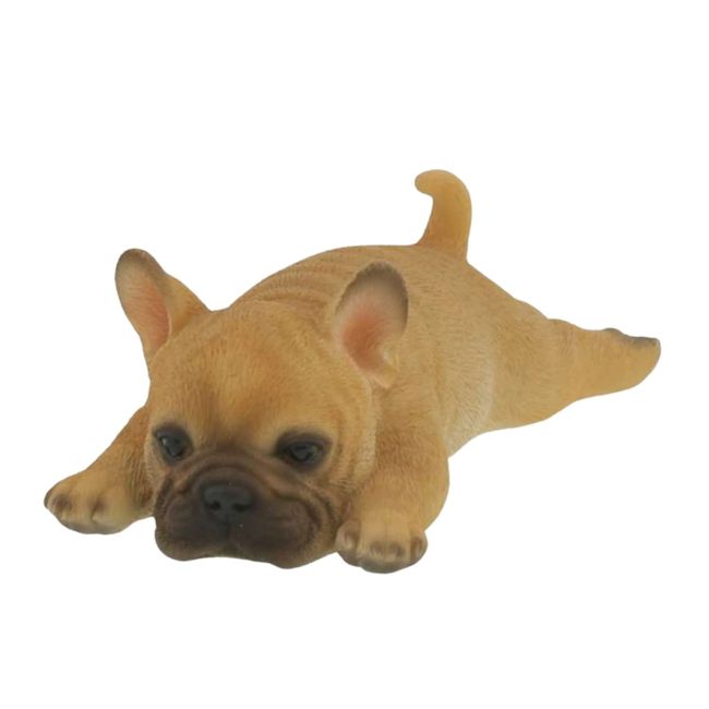 Lid Sanpun Matsuwan (French Bulldog)