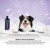 Groom Professional Bright White Shampoo, 1 Litre