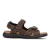 Dockers Men's Newpage Sandal, Briar, 11 EE US