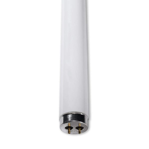Replacement for GE General Electric G.E F14T12/CW Light Bulb by Technical Precision