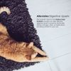 Proflora Probiotic for Cats (30 Servings)