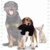 TUFFY - World's Tuffest Soft Dog Toy - Zoo Junior Bear - Squeakers - Multiple Layers. Made Durable, Strong & Tough. Interactive Play (Tug, Toss & Fetch). Machine Washable & Floats