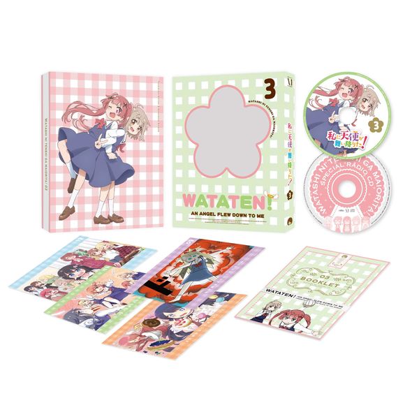 私に天使が舞い降りた! Vol.3 [DVD]
