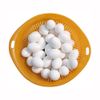 ANCLLO 20Pcs 10g Solid Plastic Eggs Dummy Eggs for Racing Pigeons