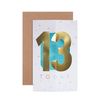 Hallmark 13th Birthday Card - Die Cut 3D card