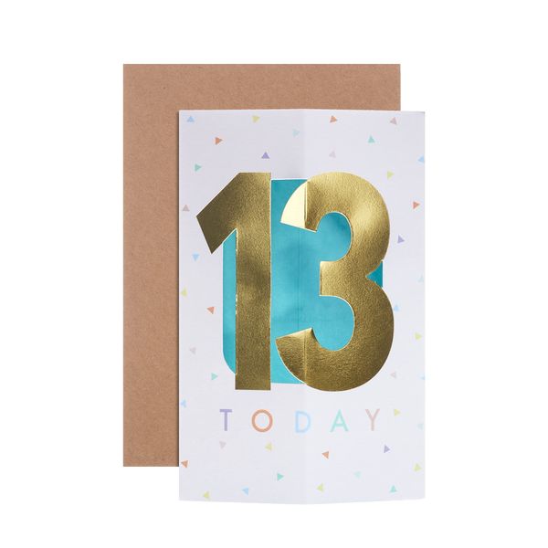Hallmark 13th Birthday Card - Die Cut 3D card
