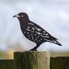 Starling Fence Topper- Black