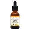 Eclectic Milk Thistle G, Orange, 1 Fluid Ounce