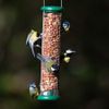 Ring-Pull TO-P2G Medium Bird Feeder for Peanuts - Green