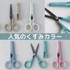 Raymay Fujii KP4SB Scissors Kept Fluorine Coat Scissors Sand Beige