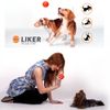LIKER 9 Magic Ball for Medium and Large Dogs, Orange Large