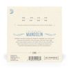 D'Addario EJ62 Mandolin Strings