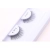 Cherishlook Professional 10packs Eyelashes - #747S