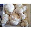 Lions Mane Mushroom Extract - Blackberries