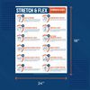 Stretch & Flex Poster Exercise for Workplace Guide Employees Employers (Pack 1)