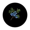 Juniper Berry Funny Design PopSockets Adhesive PopGrip