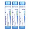 Harpagophytum Meltaway Pellets, 3 Tubes, 80 Pellets Each