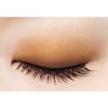 excel Skinny Rich Eye Shadow SR02 Real Brown