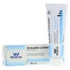 Lichtenstein Zinc Ointment 100 g PZN: 3502133