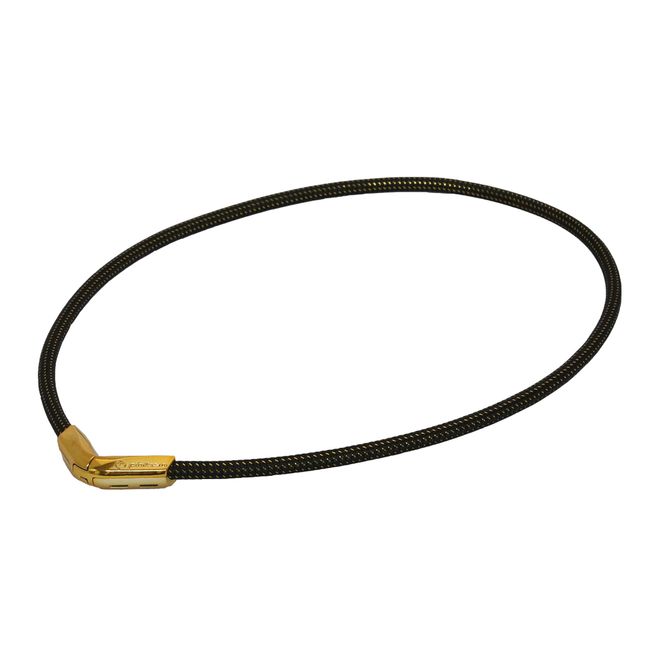 Phiten X50 Rakuwa Necklace, V-Type, gold