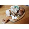 Malt Extract Agar MEA 10 Grams - Grow Mushrooms