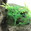 CLASSIC PETBLIS Rocky Ledge 9 inches, 100 g
