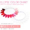 irogel Oval Color Chart [Clear]