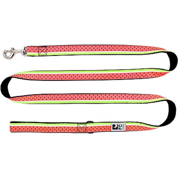 RC Pets 1" X 6 Ft Dog Leash, Watermelon