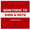 Tomcat Super Hold Glue Traps Rat Size, Ready-To-Use, 2 Traps