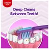 Colgate ZigZag Toothbrush - Medium 3pc - Made In India
