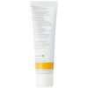 Dr. Hauschka Tinted Day Cream 30 ml