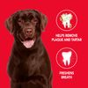 Sentry Pet Care Enzymatic Dog Toothpaste 6.2oz Tube