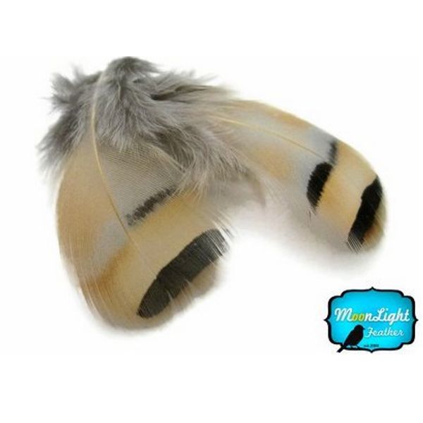 Partridge Feathes, Natural Feathers ; Chukar Partridge Hen Feather - 0.10 Ounce Pack