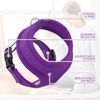 Adjustable Dog Pet Harness Breathable Padded Mesh Escape Proof Reflective Jacket