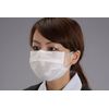 esuko Mask (For Clean Room/Ear Hanging/50 Piece) ea800mf – 53