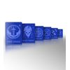 LITKO Ability Tokens | Keyword Counters Set| Compatible with Magic: The Gathering | MTG | (Blue)