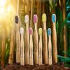 Adult Blue Medium Toothbrush 1 Brush