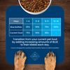 Blue Buffalo Dog Food for Puppies, Life Protection Formula, Natural Chicken & Brown Rice Flavor, Puppy Dry Dog Food, 15 lb Bag