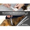 InstrumenteNrw Pet Grooming Scissors Curved Micro Teeth