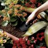 (2 Pack) Fiskars FiberComp 11" Trowel