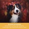 Sensipharm Smooth Locomotion for Dogs