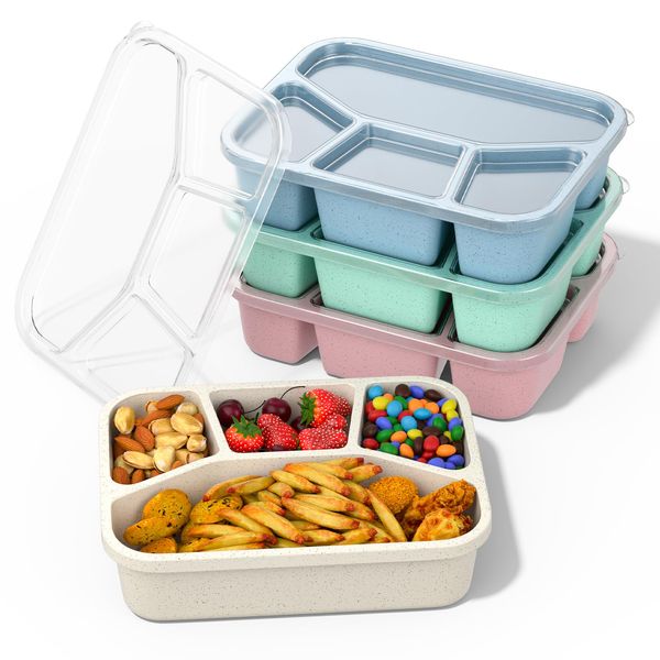 XGXN Bento Box Adult Lunch Box (4 Pack), 4-Compartment Meal Prep Container for Kids, Reusable Food Storage Containers with Transparent Lids, No BPA, Microwaveable (Wheat (Green/Blue/Pink/Beige))