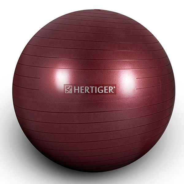 Hertiger Maternity Gym Ball Anti-Burst, Dark Gray