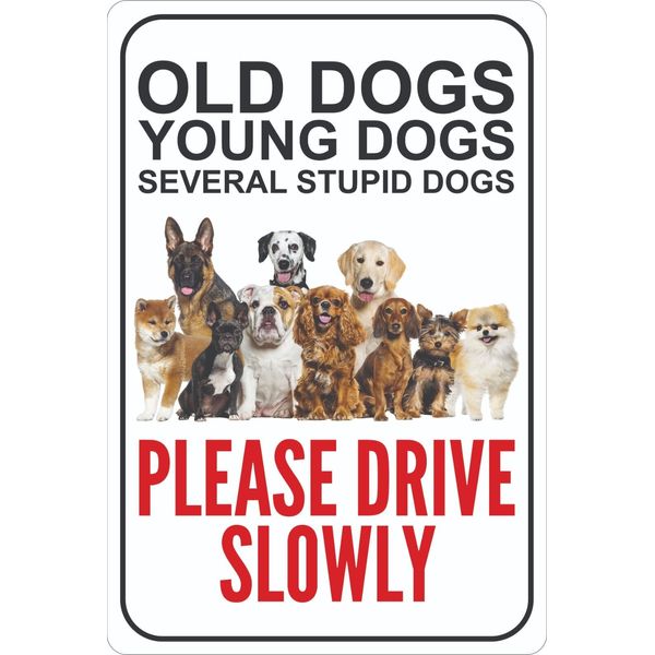 Please Drive Slowly Dog Sign, Road Street Pet Safety Sign, Outdoor Pet Signage