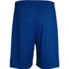 hummel Unisex Adult CORE Poly Shorts - true blue pro, size: 140-152