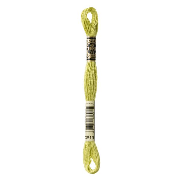 DMC Embroidery Floss, Cotton, 3819 Green, 8 m