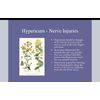Hypericum Perforatum Cream 1 Pack