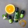 PRIMAVERA Jojoba Oil Organic (6 x 50 ml)