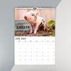 Personalised Calendar. A4 Cute Animal Calendar